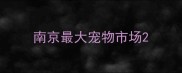 南京最大宠物市场