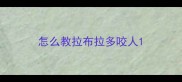 怎么教拉布拉多咬人