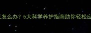 金毛犬疯狂掉毛怎么办5大科学养护指南助你轻松应对季节性掉毛