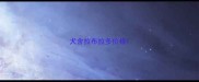 犬舍拉布拉多价格