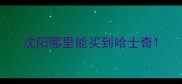 沈阳哪里能买到哈士奇