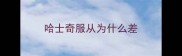 哈士奇服从为什么差
