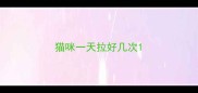 猫咪一天拉好几次