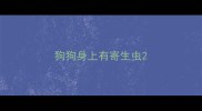 狗狗身上有寄生虫