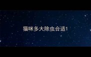 猫咪多大除虫合适