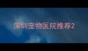 深圳宠物医院推荐