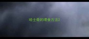 哈士奇的喂食方法
