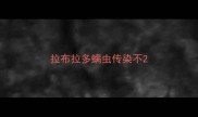 拉布拉多螨虫传染不
