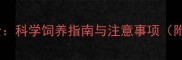 德牧犬成年时间全科学饲养指南与注意事项附饲养管理方案