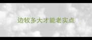 边牧多大才能老实点
