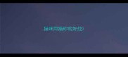 猫咪用猫砂的好处