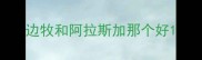 边牧和阿拉斯加那个好