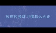 拉布拉多坏习惯怎么纠正