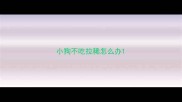 小狗不吃拉稀怎么办