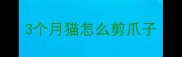 3个月猫怎么剪爪子
