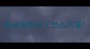 泰迪狗狗吐了怎么回事