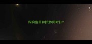 狗狗疫苗和抗体同时打