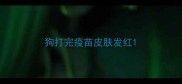狗打完疫苗皮肤发红