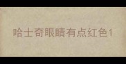 哈士奇眼睛有点红色