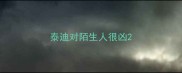泰迪对陌生人很凶