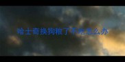 哈士奇换狗粮了不吃怎么办