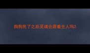 狗狗死了之后灵魂会跟着主人吗