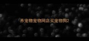 养宠物宠物网店买宠物狗