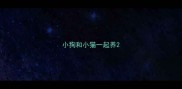 小狗和小猫一起养