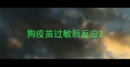 狗疫苗过敏后反应