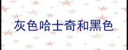 灰色哈士奇和黑色