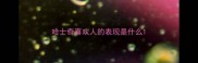 哈士奇喜欢人的表现是什么