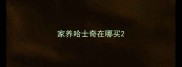 家养哈士奇在哪买
