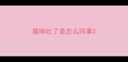 猫咪吐了是怎么回事