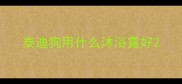 泰迪狗用什么沐浴露好