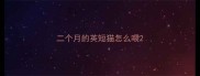 二个月的英短猫怎么喂