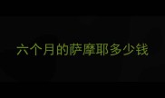 六个月的萨摩耶多少钱
