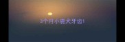 3个月小鹿犬牙齿