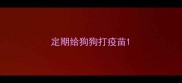 定期给狗狗打疫苗