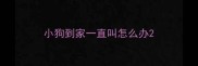 小狗到家一直叫怎么办