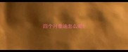 四个月泰迪怎么喂