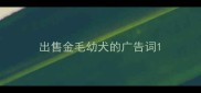 出售金毛幼犬的广告词
