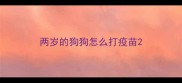 两岁的狗狗怎么打疫苗