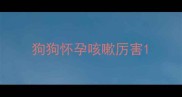 狗狗怀孕咳嗽厉害