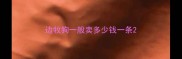 边牧狗一般卖多少钱一条