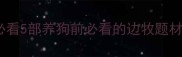 边境牧羊犬影视剧推荐必看5部养狗前必看的边牧题材电影与剧集附养宠指南