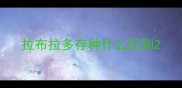 拉布拉多存种什么区别