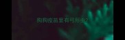 狗狗疫苗里有弓形虫