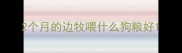 2个月的边牧喂什么狗粮好