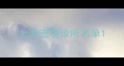 上海宠物诊所名单