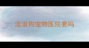 流浪狗宠物医院要吗